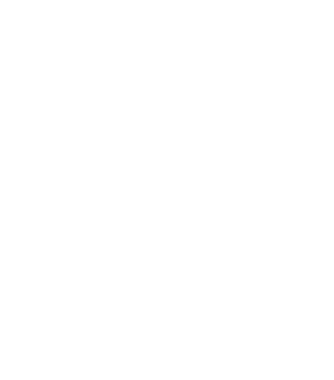 IJ Logo